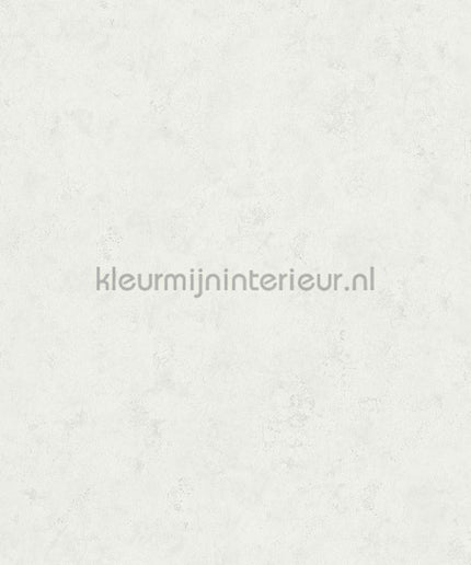 Hookedonwalls Terra Cotta 42119 | Bestellen bij https://www.kleurmijninterieur.nl/