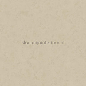 Hookedonwalls Terra Cotta 42121 | Bestellen bij https://www.kleurmijninterieur.nl/