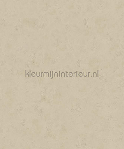 Hookedonwalls Terra Cotta 42121 | Bestellen bij https://www.kleurmijninterieur.nl/