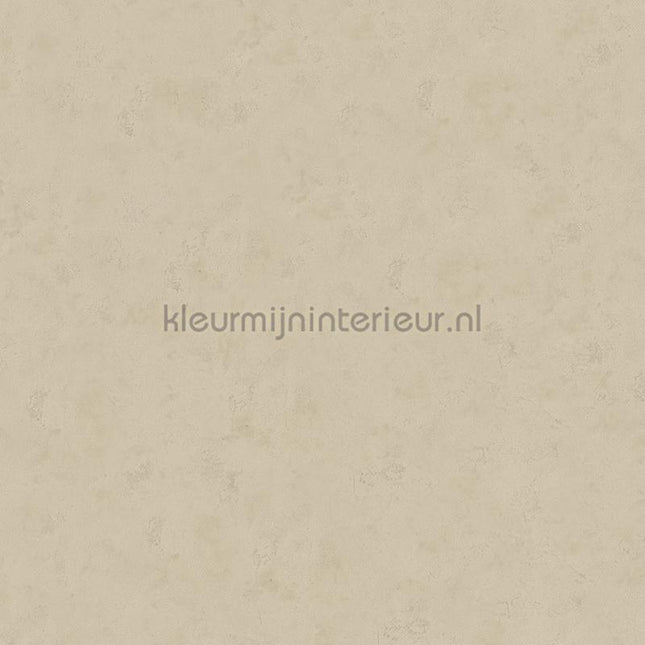 Hookedonwalls Terra Cotta 42121 | Bestellen bij https://www.kleurmijninterieur.nl/