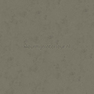 Hookedonwalls Terra Cotta 42122 | Bestellen bij https://www.kleurmijninterieur.nl/