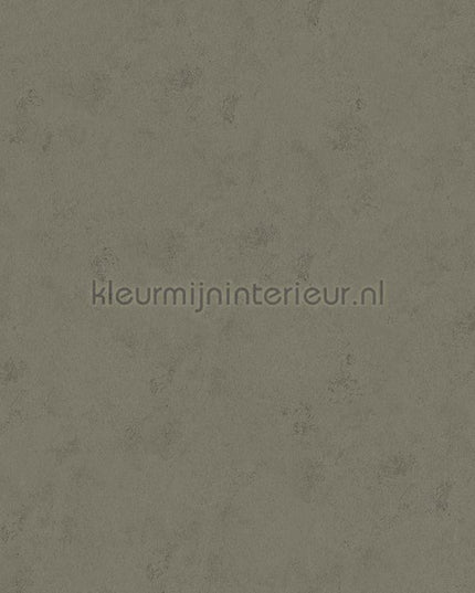 Hookedonwalls Terra Cotta 42122 | Bestellen bij https://www.kleurmijninterieur.nl/