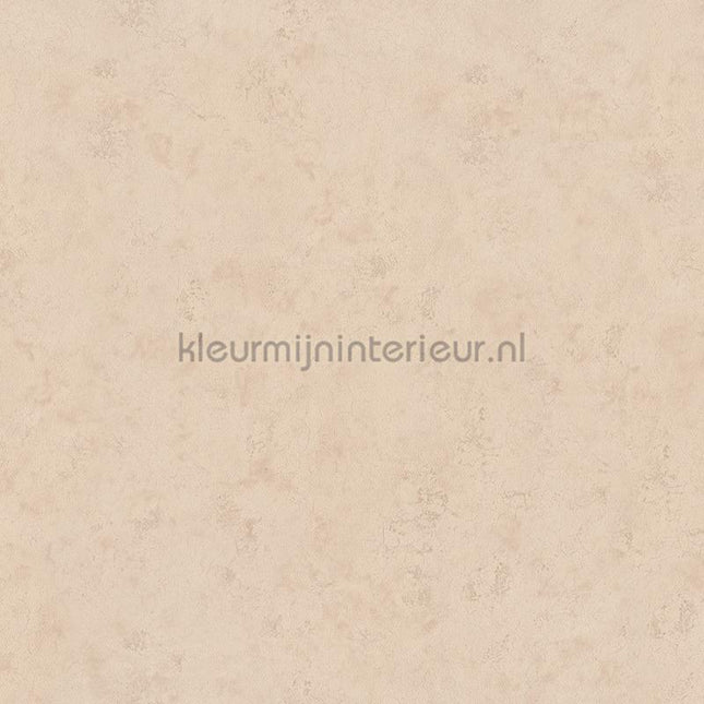 Hookedonwalls Terra Cotta 42124 | Bestellen bij https://www.kleurmijninterieur.nl/