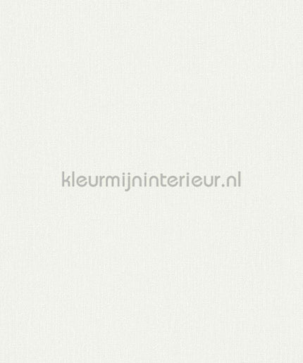 Hookedonwalls Terra Cotta 42126 | Bestellen bij https://www.kleurmijninterieur.nl/