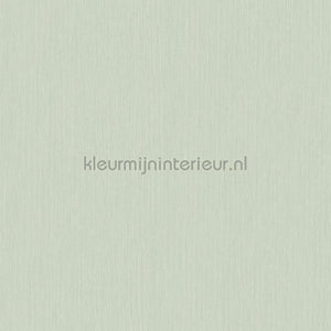 Hookedonwalls Terra Cotta 42132 | Bestellen bij https://www.kleurmijninterieur.nl/