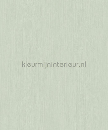 Hookedonwalls Terra Cotta 42132 | Bestellen bij https://www.kleurmijninterieur.nl/