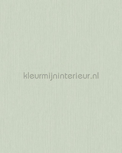 Hookedonwalls Terra Cotta 42132 | Bestellen bij https://www.kleurmijninterieur.nl/