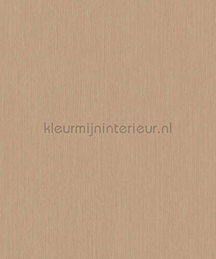 Hookedonwalls Terra Cotta 42134 | Bestellen bij https://www.kleurmijninterieur.nl/