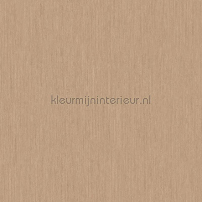 Hookedonwalls Terra Cotta 42134 | Bestellen bij https://www.kleurmijninterieur.nl/