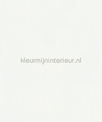Hookedonwalls Terra Cotta 42135 | Bestellen bij https://www.kleurmijninterieur.nl/