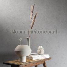 Hookedonwalls Terra Cotta 42136 | Bestellen bij https://www.kleurmijninterieur.nl/