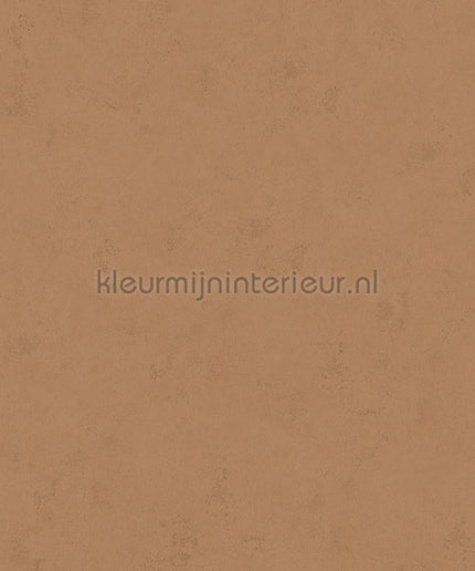 Hookedonwalls Terra Cotta 42138 | Bestellen bij https://www.kleurmijninterieur.nl/