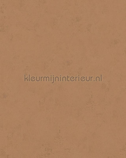 Hookedonwalls Terra Cotta 42138 | Bestellen bij https://www.kleurmijninterieur.nl/