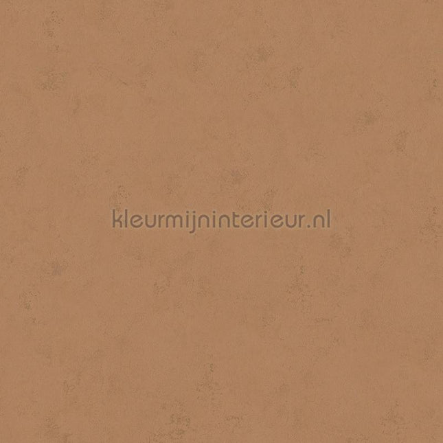 Hookedonwalls Terra Cotta 42138 | Bestellen bij https://www.kleurmijninterieur.nl/