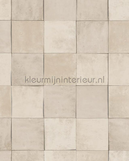 Hookedonwalls Terra Cotta 42143 | Bestellen bij https://www.kleurmijninterieur.nl/