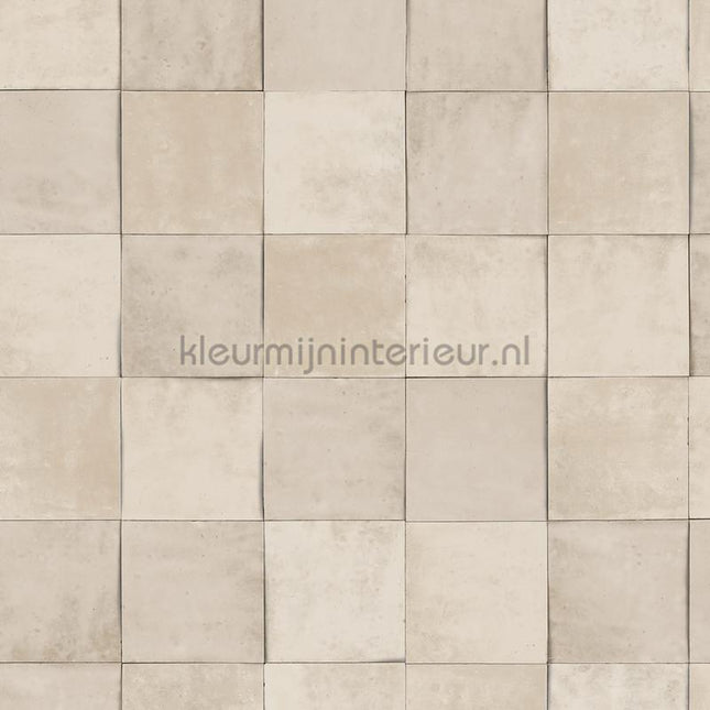 Hookedonwalls Terra Cotta 42143 | Bestellen bij https://www.kleurmijninterieur.nl/