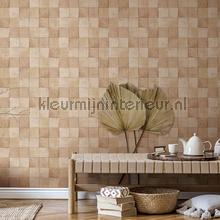 Hookedonwalls Terra Cotta 42143 | Bestellen bij https://www.kleurmijninterieur.nl/