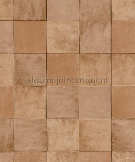 Hookedonwalls Terra Cotta 42144 | Bestellen bij https://www.kleurmijninterieur.nl/