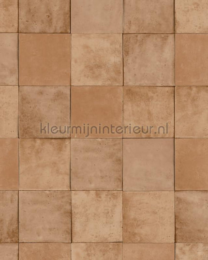 Hookedonwalls Terra Cotta 42144 | Bestellen bij https://www.kleurmijninterieur.nl/