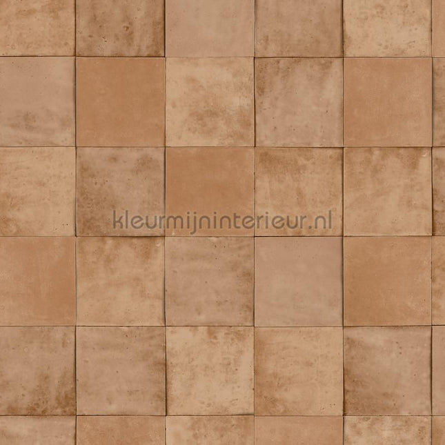 Hookedonwalls Terra Cotta 42144 | Bestellen bij https://www.kleurmijninterieur.nl/