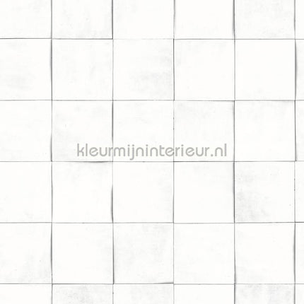 Hookedonwalls Terra Cotta 42146 | Bestellen bij https://www.kleurmijninterieur.nl/