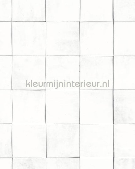 Hookedonwalls Terra Cotta 42146 | Bestellen bij https://www.kleurmijninterieur.nl/