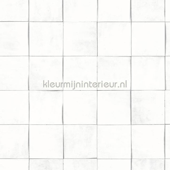Hookedonwalls Terra Cotta 42146 | Bestellen bij https://www.kleurmijninterieur.nl/