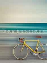 AS Creation Walls by Patel 3 DD122112 | Bestellen bij https://www.kleurmijninterieur.nl/