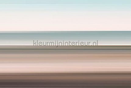 AS Creation Walls by Patel 3 DD122116 | Bestellen bij https://www.kleurmijninterieur.nl/