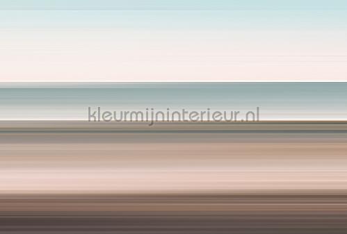 AS Creation Walls by Patel 3 DD122116 | Bestellen bij https://www.kleurmijninterieur.nl/