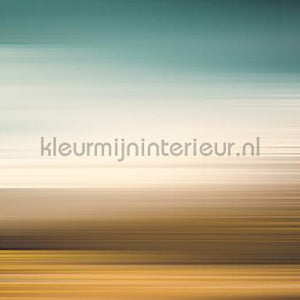 AS Creation Walls by Patel 3 DD122120 | Bestellen bij https://www.kleurmijninterieur.nl/