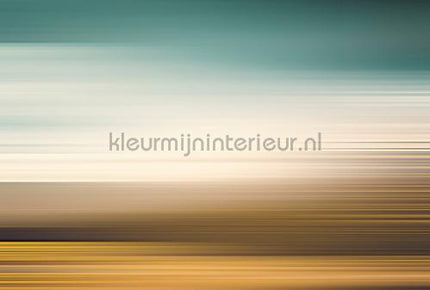 AS Creation Walls by Patel 3 DD122120 | Bestellen bij https://www.kleurmijninterieur.nl/