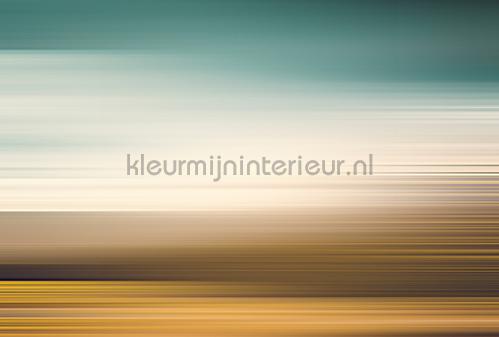 AS Creation Walls by Patel 3 DD122120 | Bestellen bij https://www.kleurmijninterieur.nl/