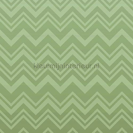 Missoni Home Wallcoverings 04 10392 | Bestellen bij https://www.kleurmijninterieur.nl/