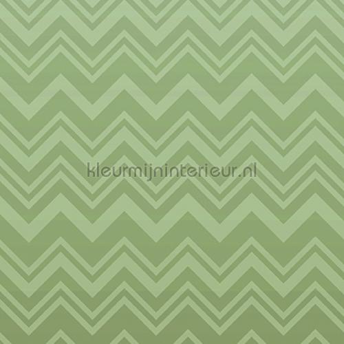Missoni Home Wallcoverings 04 10392 | Bestellen bij https://www.kleurmijninterieur.nl/