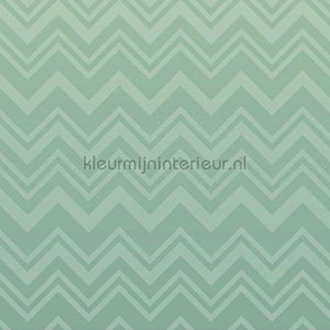 Missoni Home Wallcoverings 04 10393 | Bestellen bij https://www.kleurmijninterieur.nl/