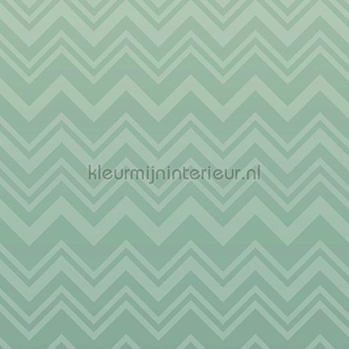 Missoni Home Wallcoverings 04 10393 | Bestellen bij https://www.kleurmijninterieur.nl/