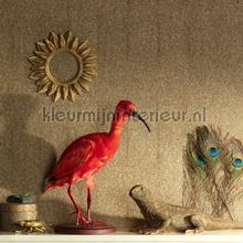 Khroma Cabinet of Curiosities CAB902 | Bestellen bij https://www.kleurmijninterieur.nl/