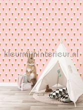 Kek Amsterdam Kinderbehang wp-129 | Bestellen bij https://www.kleurmijninterieur.nl/