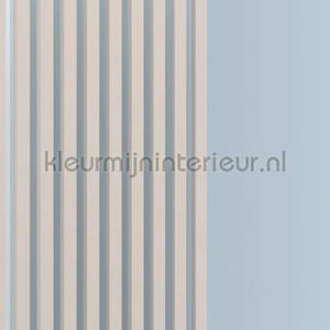 AS Creation Walls by Patel 3 DD122640 | Bestellen bij https://www.kleurmijninterieur.nl/