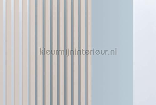 AS Creation Walls by Patel 3 DD122640 | Bestellen bij https://www.kleurmijninterieur.nl/
