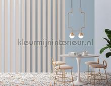 AS Creation Walls by Patel 3 DD122640 | Bestellen bij https://www.kleurmijninterieur.nl/