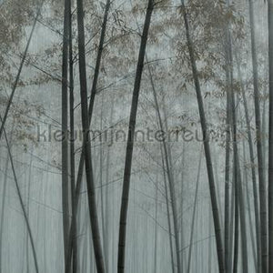 AS Creation Walls by Patel 3 DD122100 | Bestellen bij https://www.kleurmijninterieur.nl/