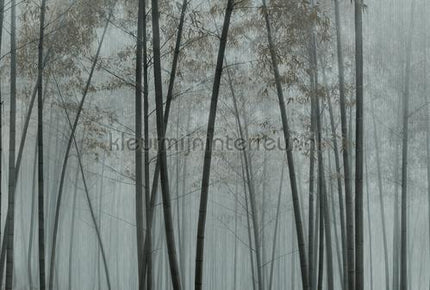 AS Creation Walls by Patel 3 DD122100 | Bestellen bij https://www.kleurmijninterieur.nl/