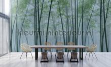 AS Creation Walls by Patel 3 DD122104 | Bestellen bij https://www.kleurmijninterieur.nl/
