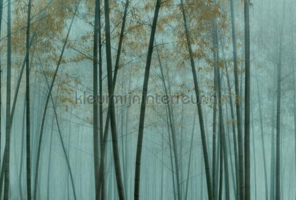 AS Creation Walls by Patel 3 DD122108 | Bestellen bij https://www.kleurmijninterieur.nl/
