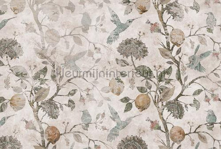AS Creation Walls by Patel 3 DD122416 | Bestellen bij https://www.kleurmijninterieur.nl/