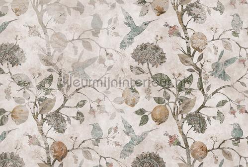 AS Creation Walls by Patel 3 DD122416 | Bestellen bij https://www.kleurmijninterieur.nl/