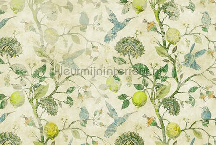 AS Creation Walls by Patel 3 DD122424 | Bestellen bij https://www.kleurmijninterieur.nl/