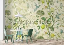 AS Creation Walls by Patel 3 DD122424 | Bestellen bij https://www.kleurmijninterieur.nl/
